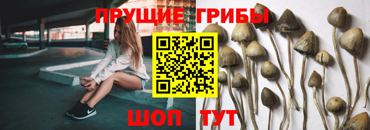 Галлюциногенные грибы ЛСД Ульяновск
